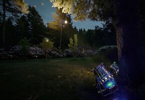 Rhododendronpark Jansen - Karlsbad