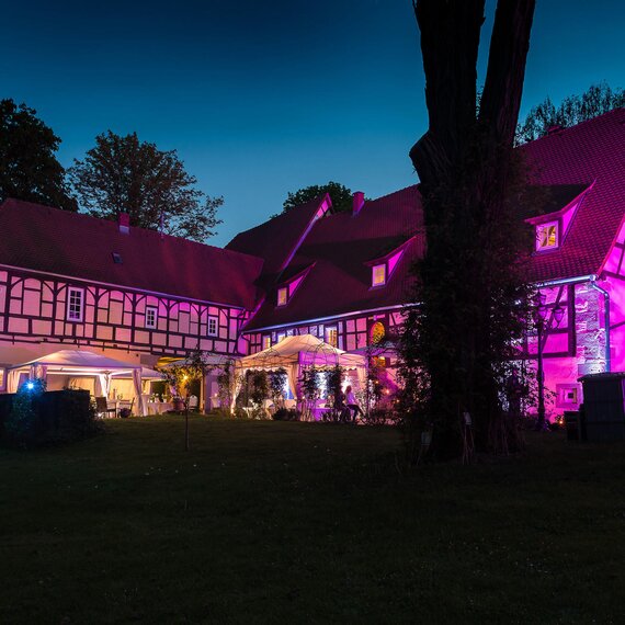 Schloss Mühlhausen in pink