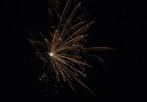 Hochzeit Feuerwerke in Stuttgart und in Zeiskam